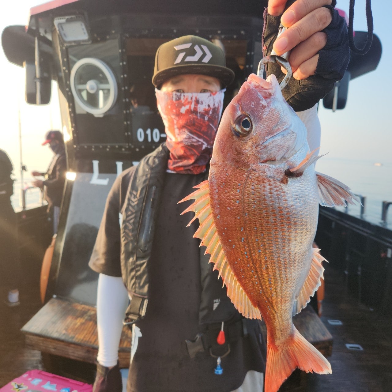 사용자가 올린 이미지