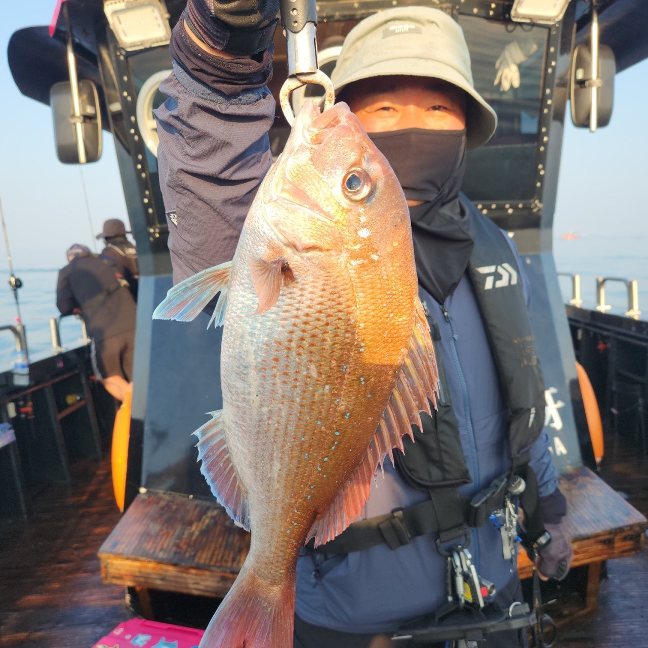 사용자가 올린 이미지