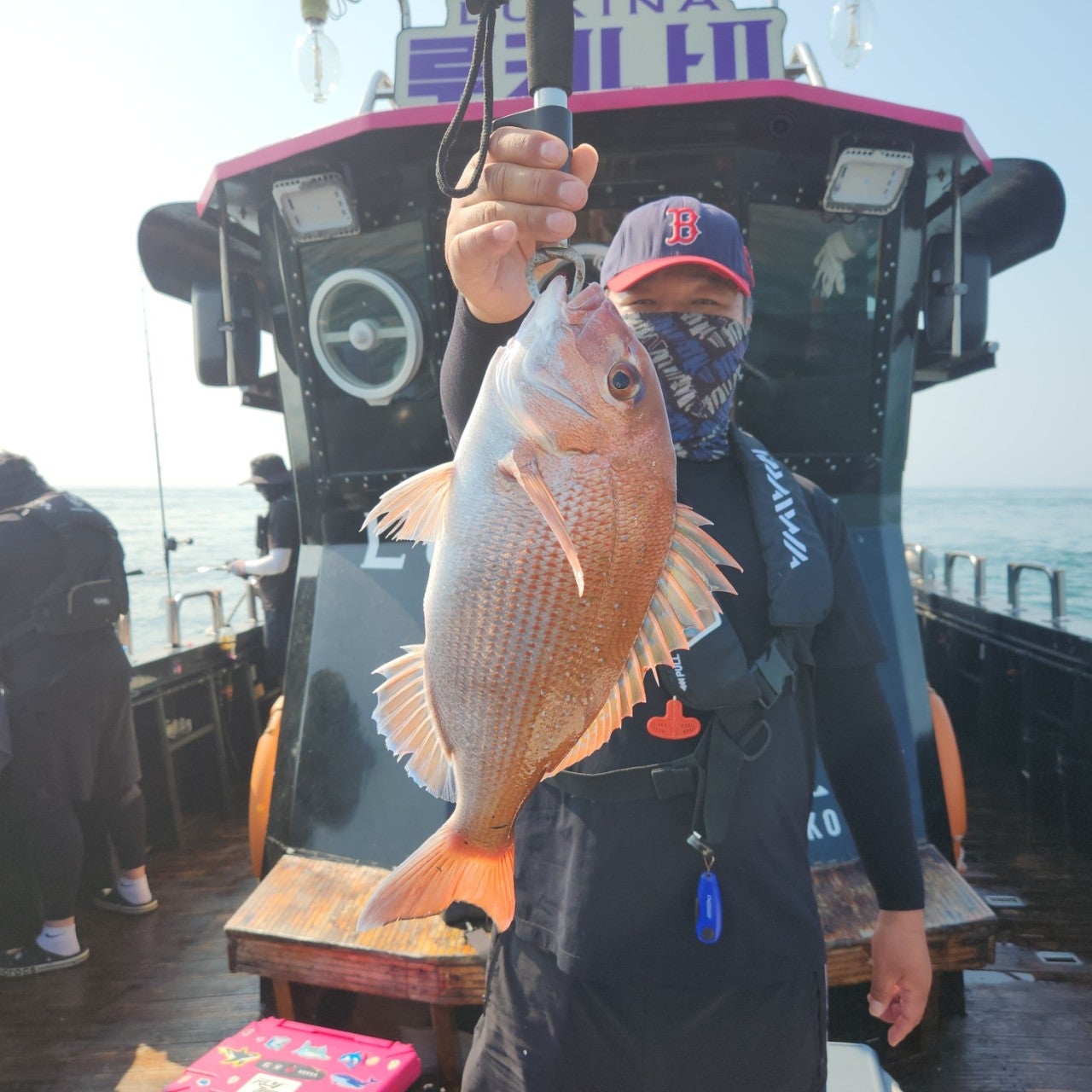 사용자가 올린 이미지