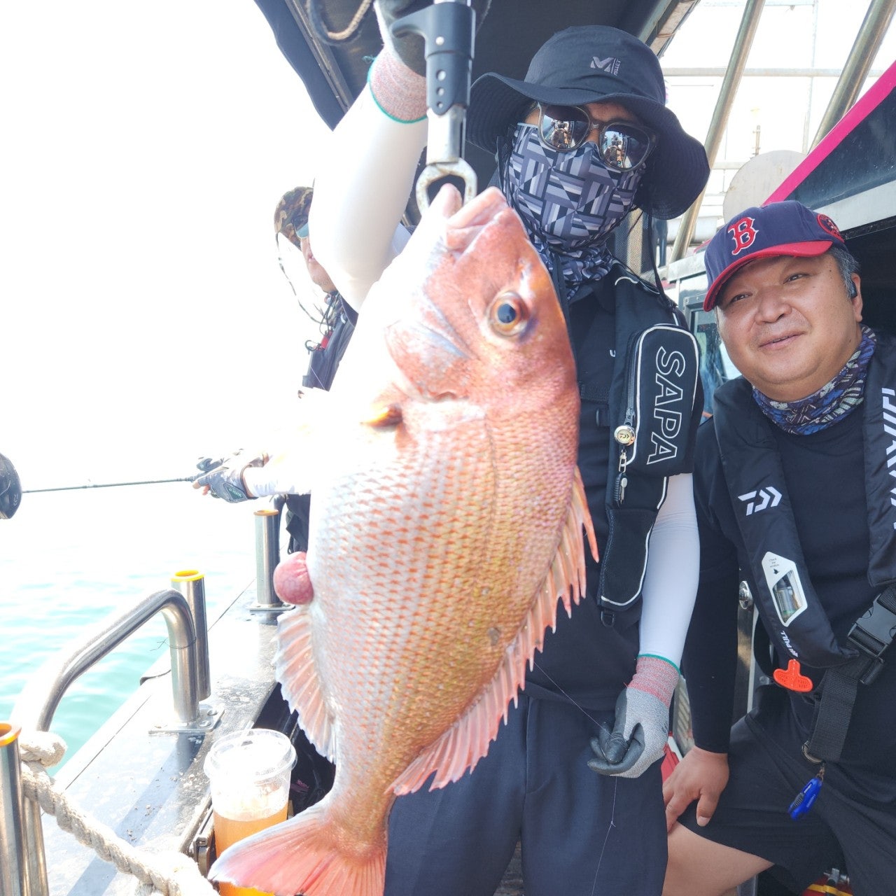 사용자가 올린 이미지