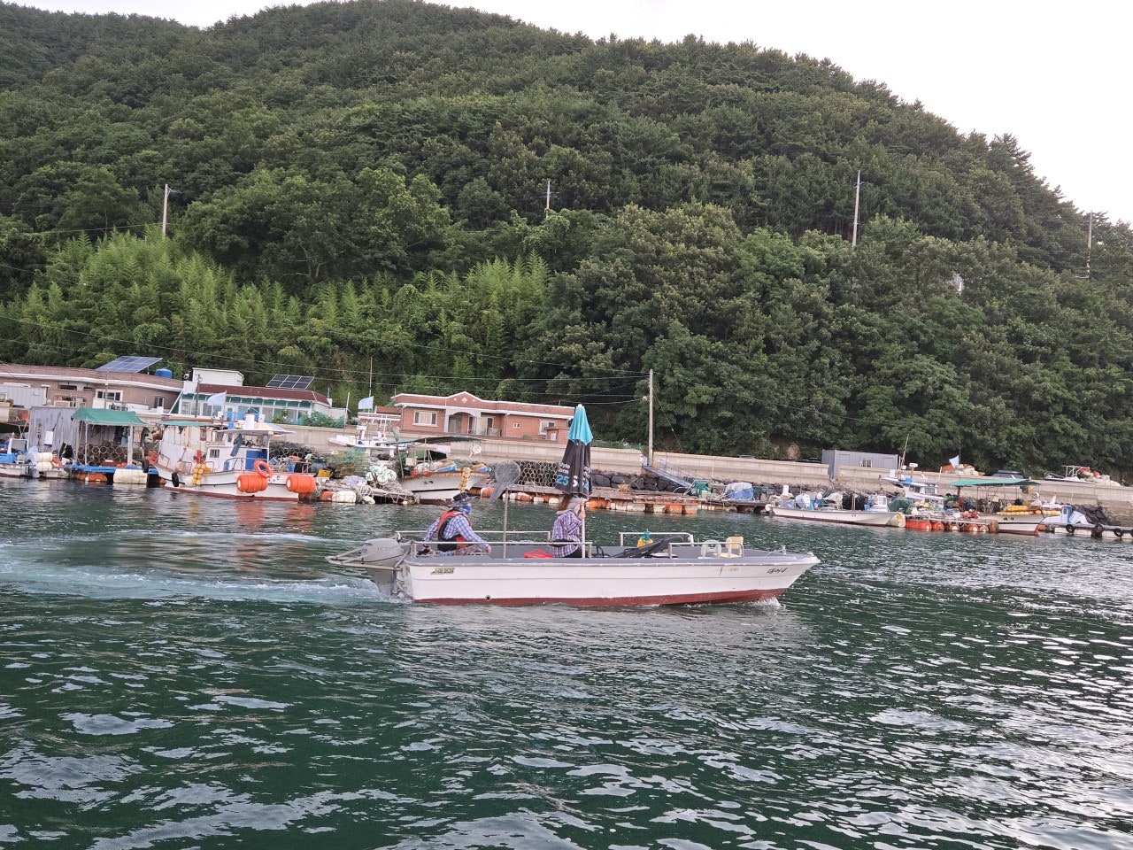 사용자가 올린 이미지