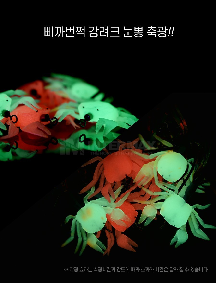 band images