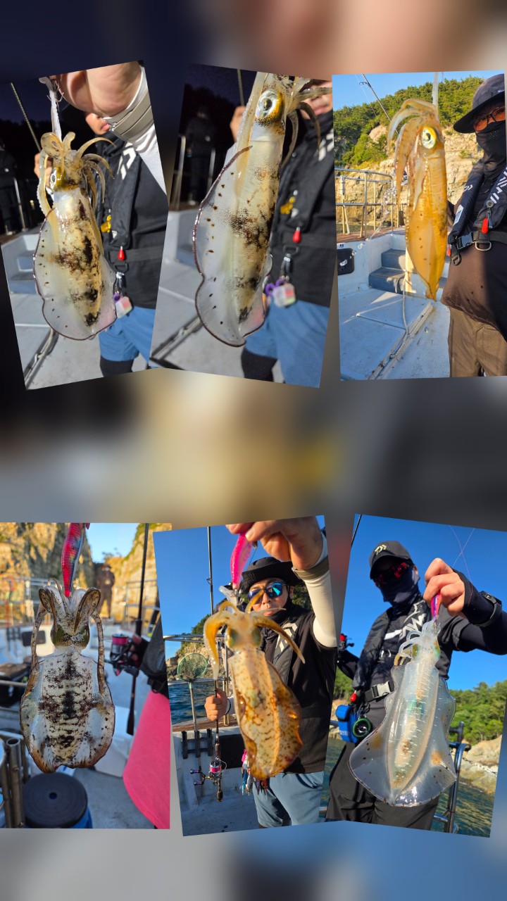 band images
