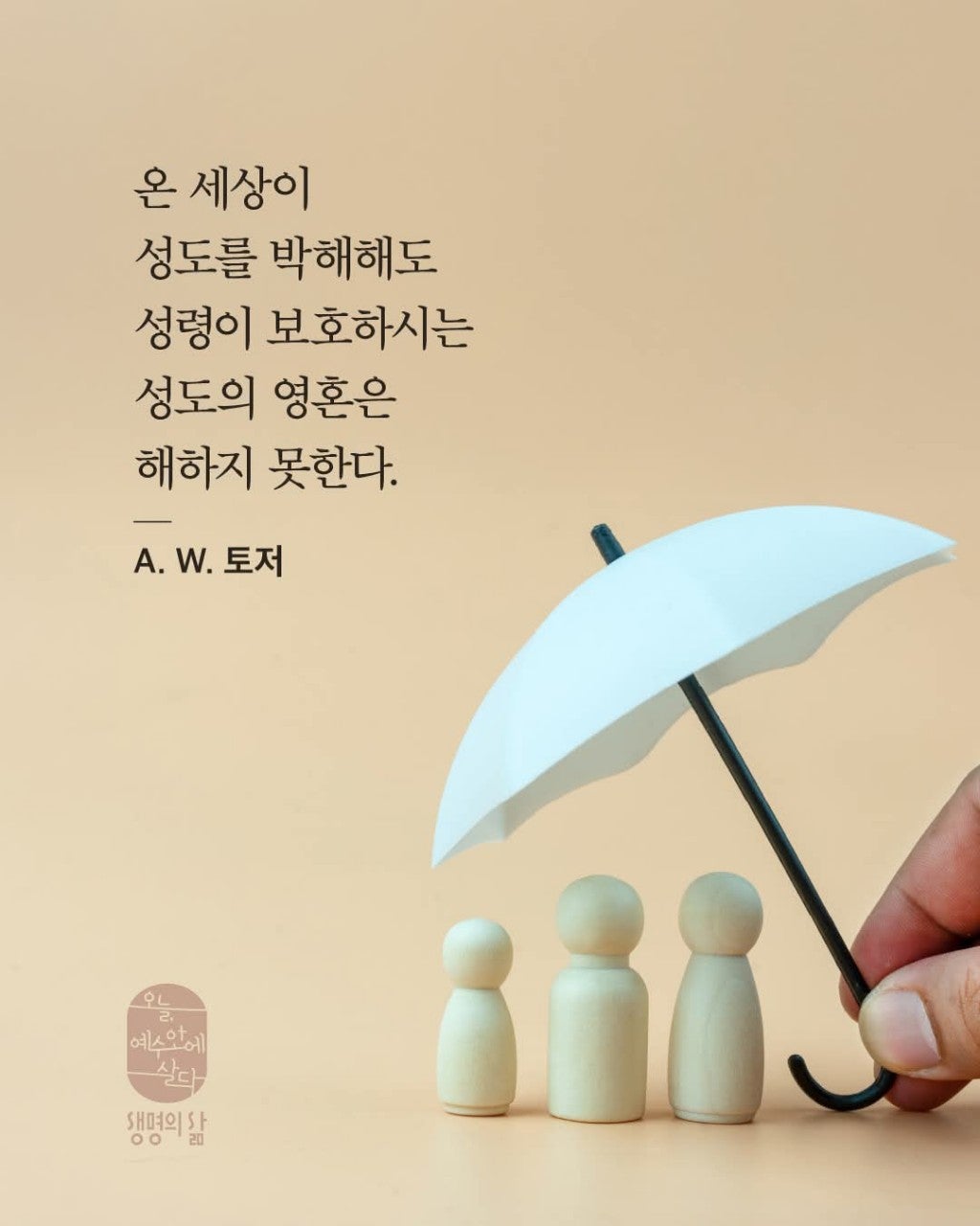 ����ڰ� �ø� �̹���