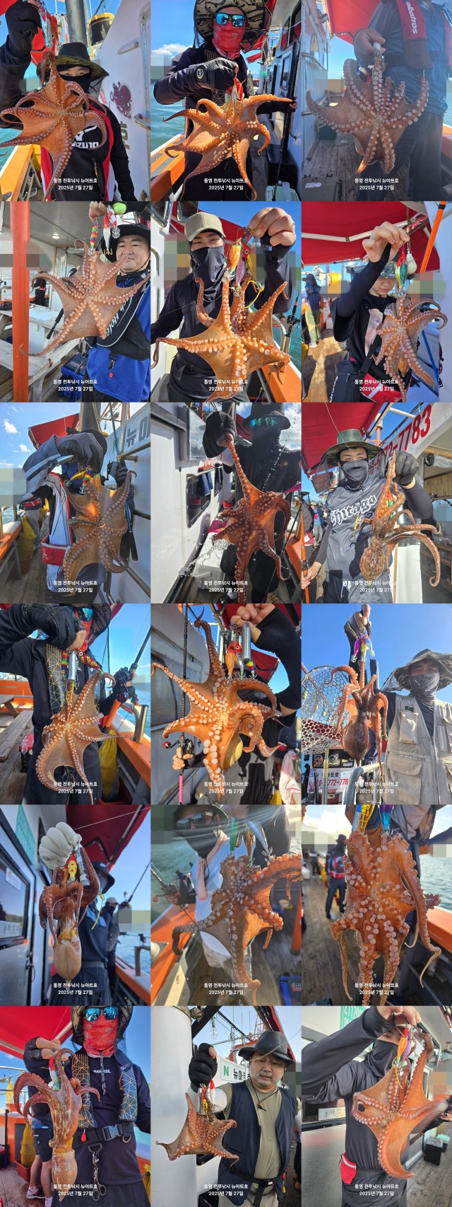band images