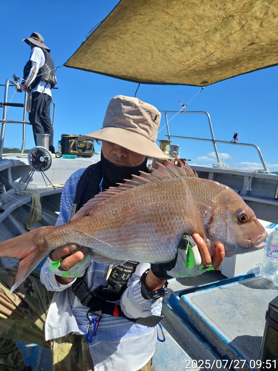 사용자가 올린 이미지