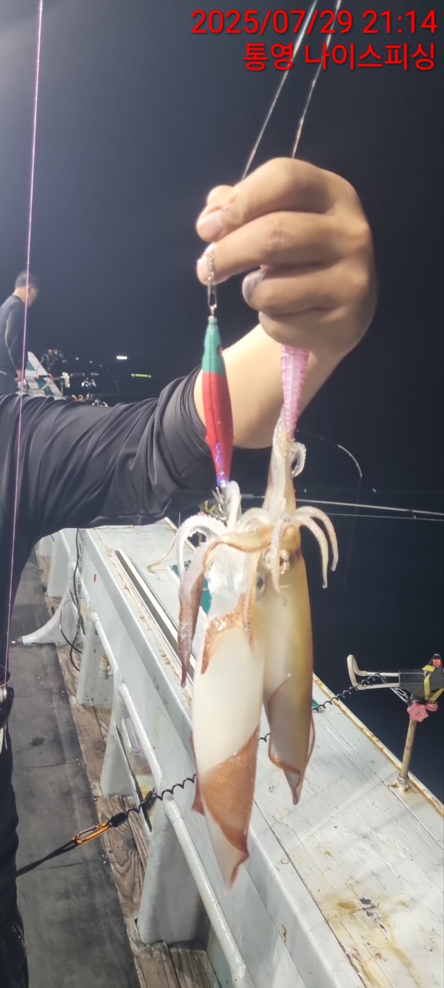 band images