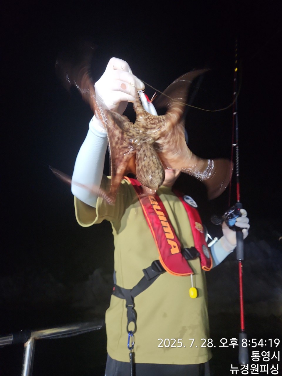 band images