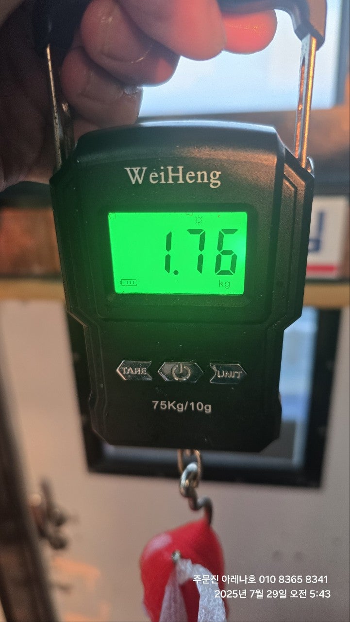 사용자가 올린 이미지