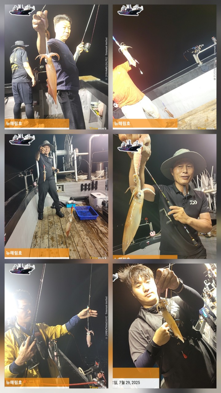 band images