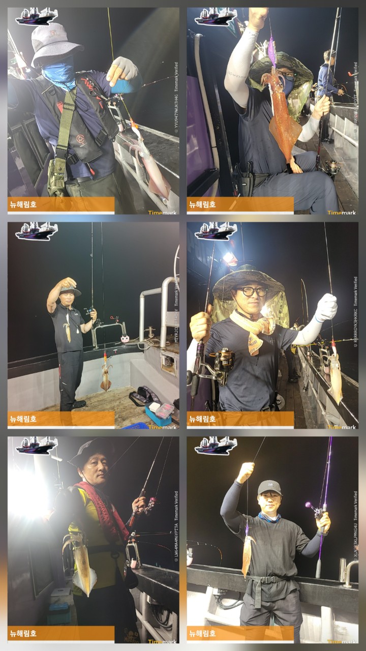 band images