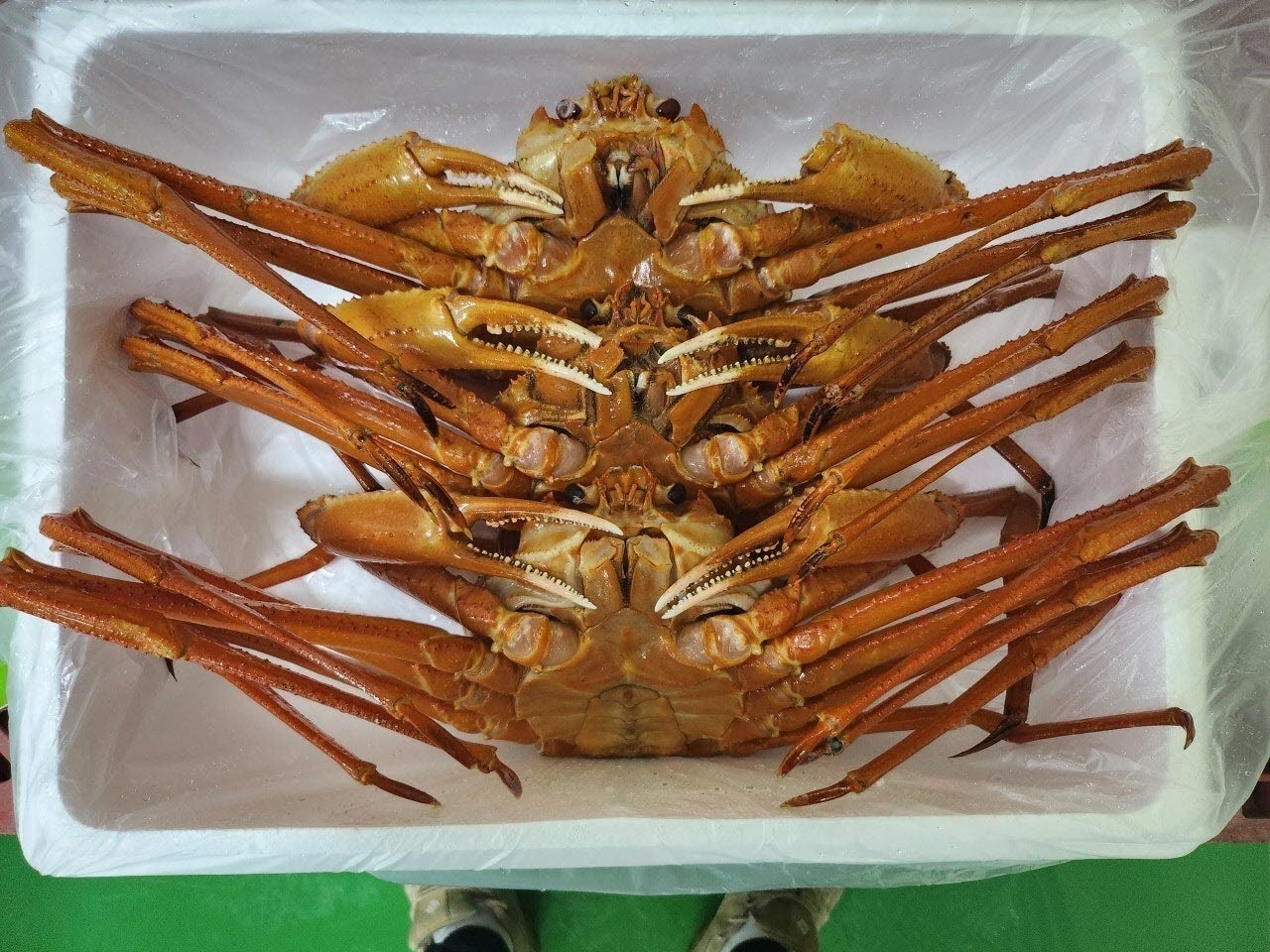 사용자가 올린 이미지