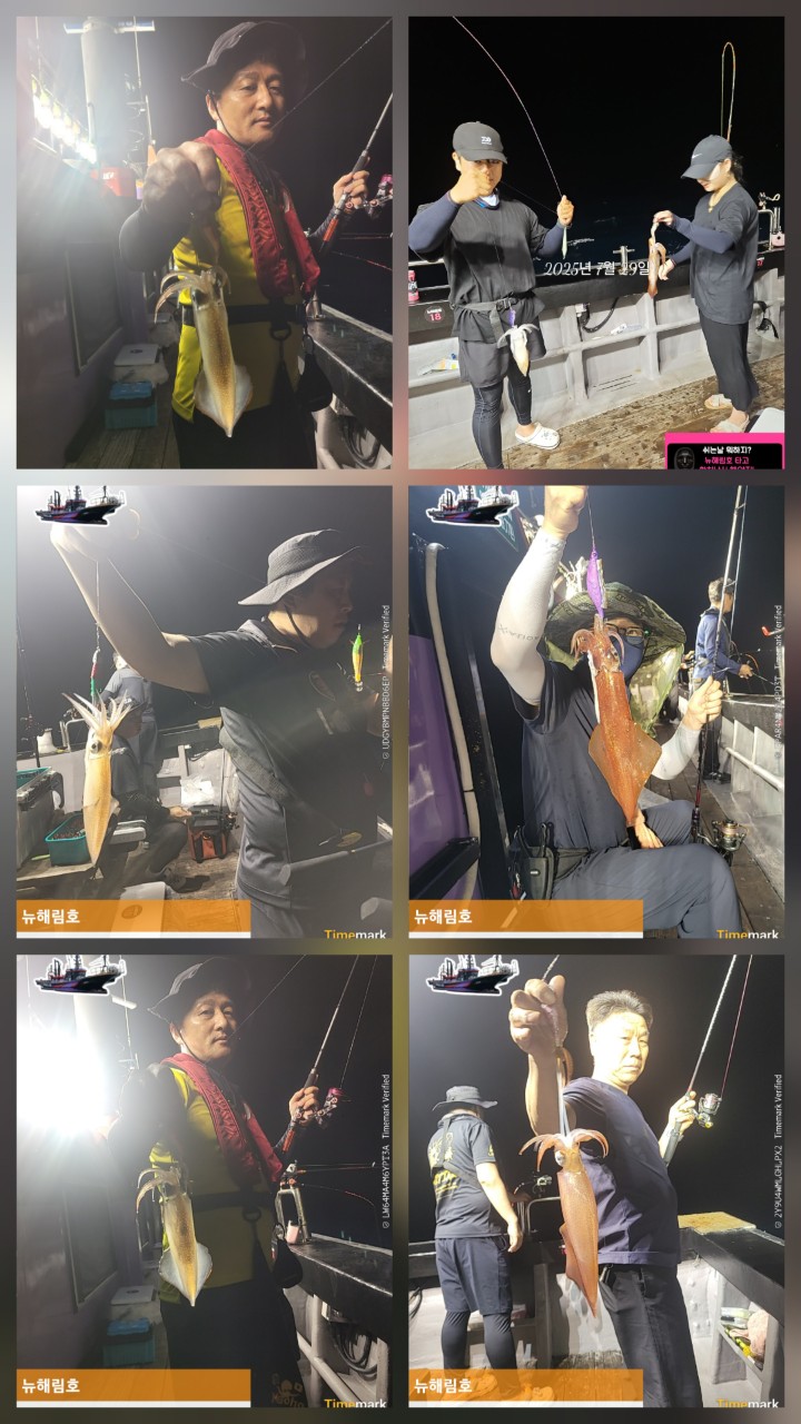 band images