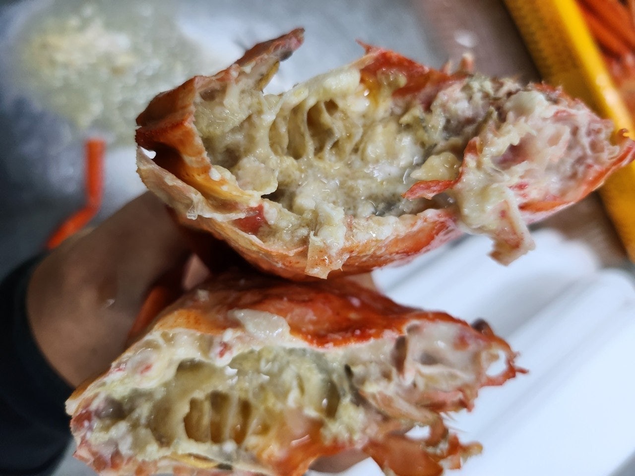 사용자가 올린 이미지