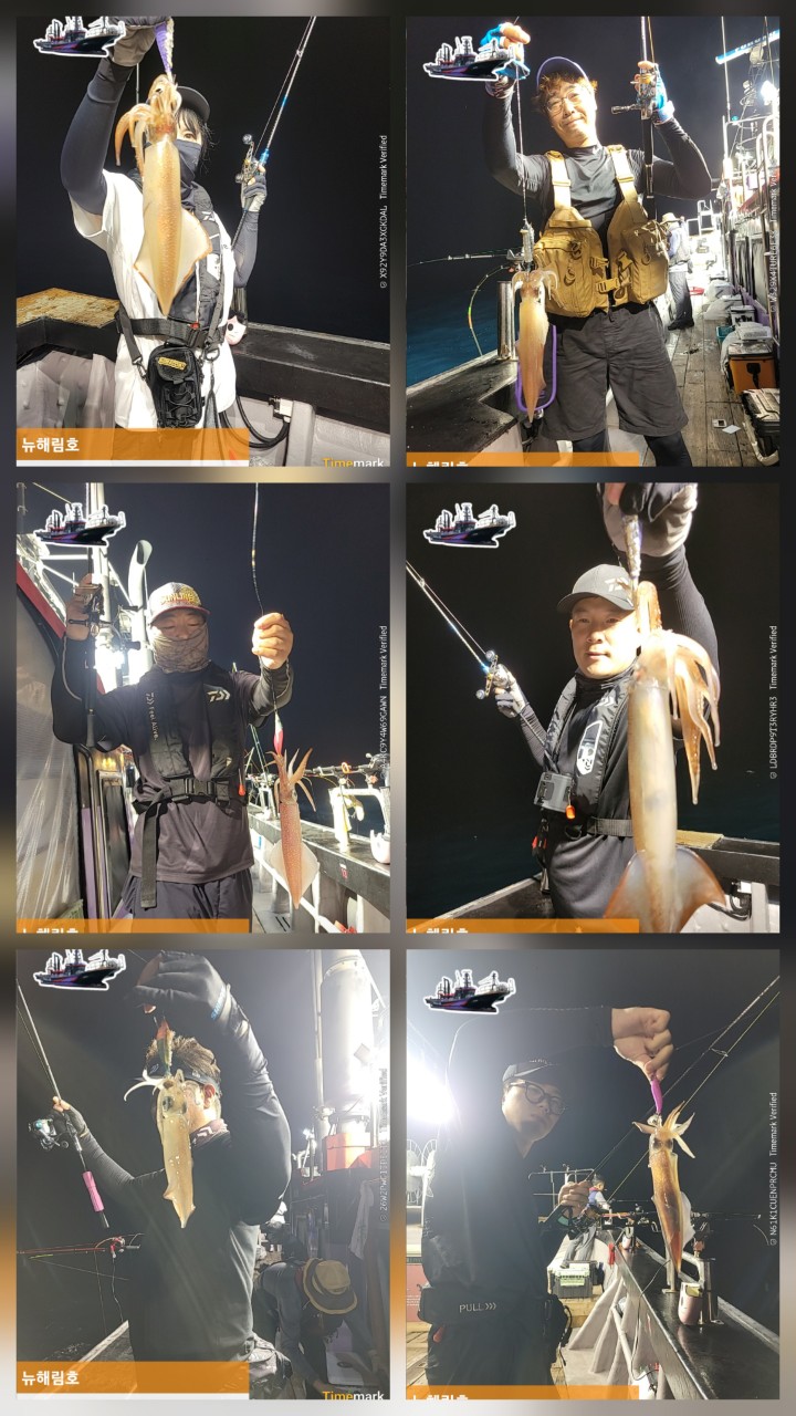 band images