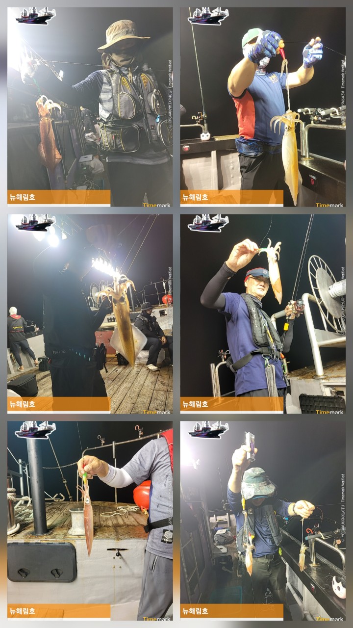 band images