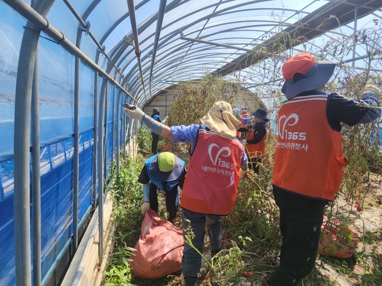 사용자가 올린 이미지