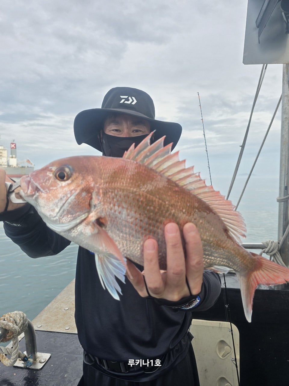 사용자가 올린 이미지