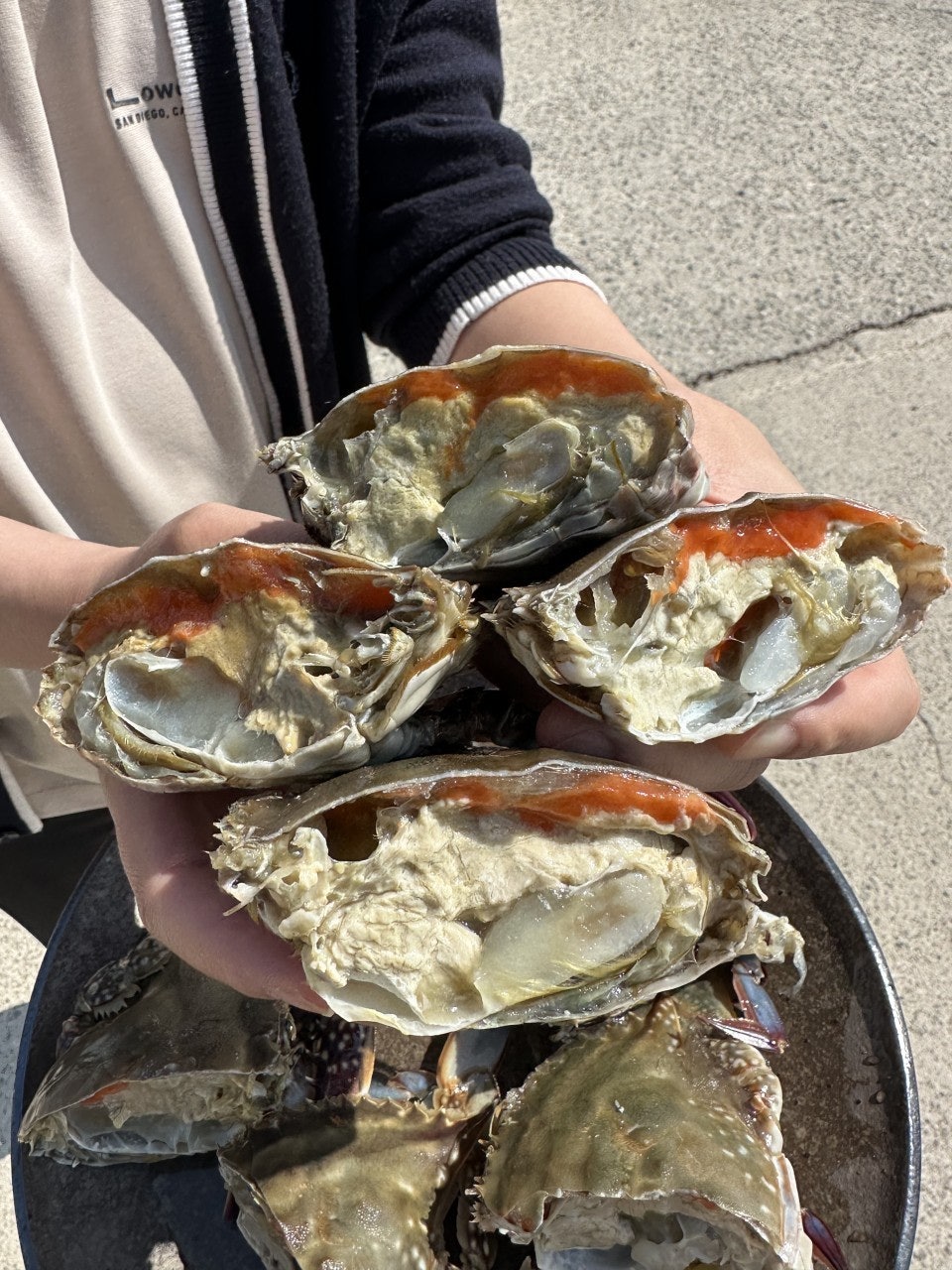 사용자가 올린 이미지