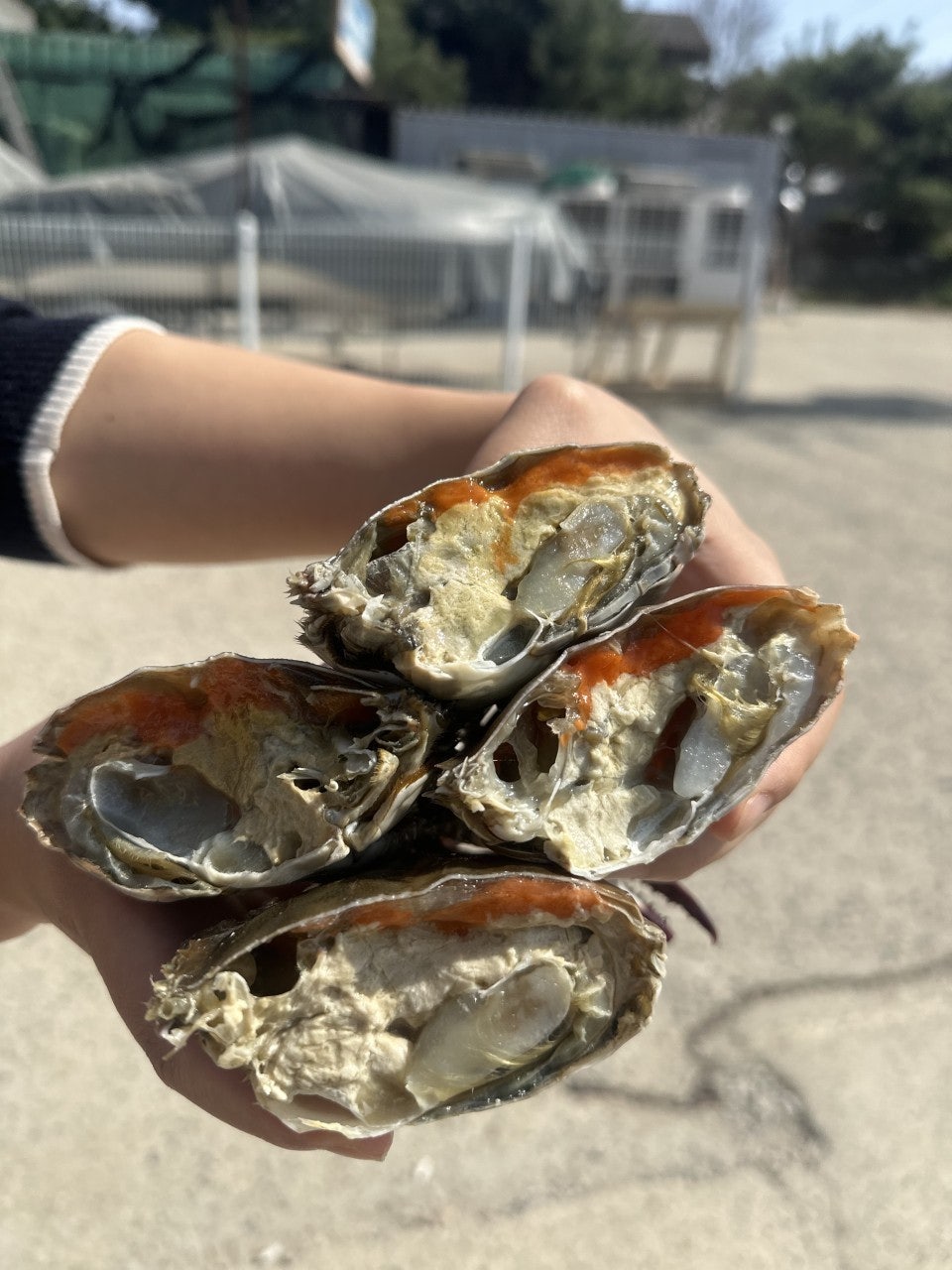 사용자가 올린 이미지