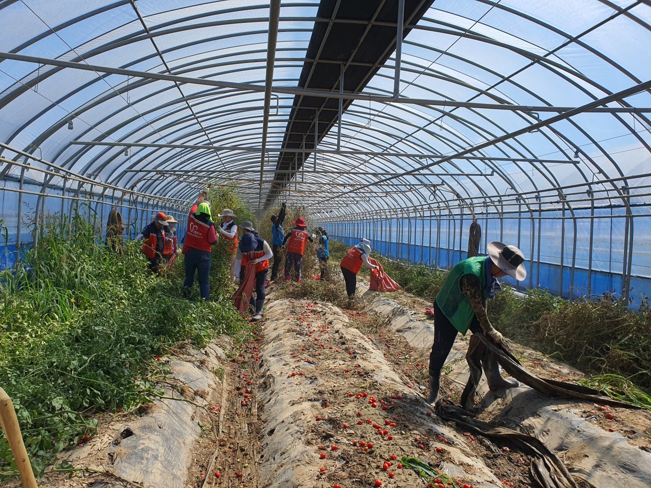 사용자가 올린 이미지