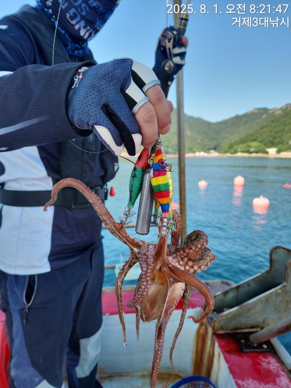 사용자가 올린 이미지