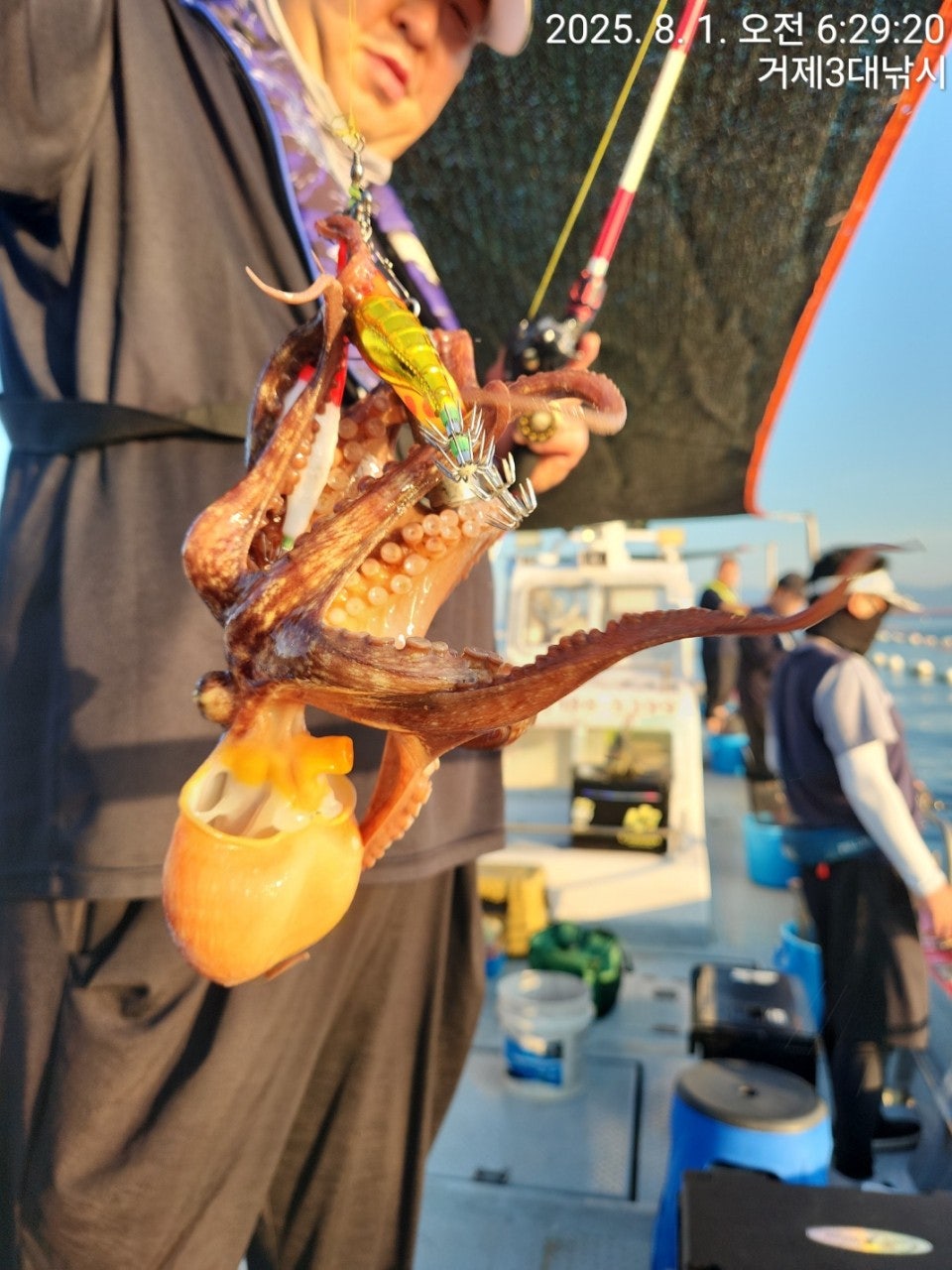 사용자가 올린 이미지