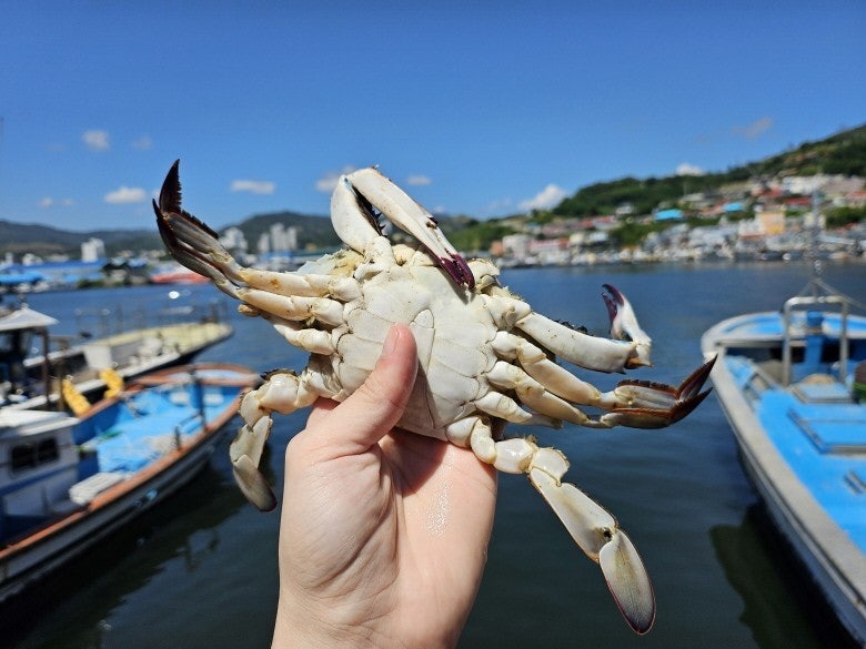 사용자가 올린 이미지