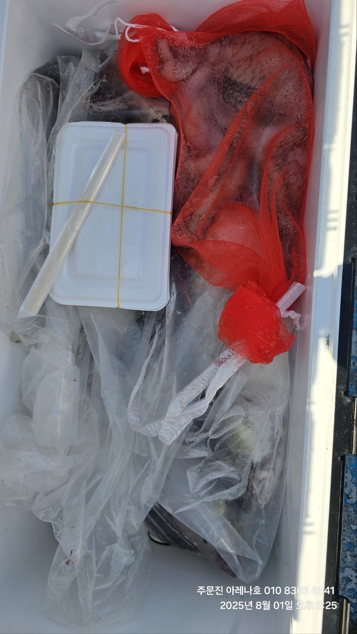 사용자가 올린 이미지