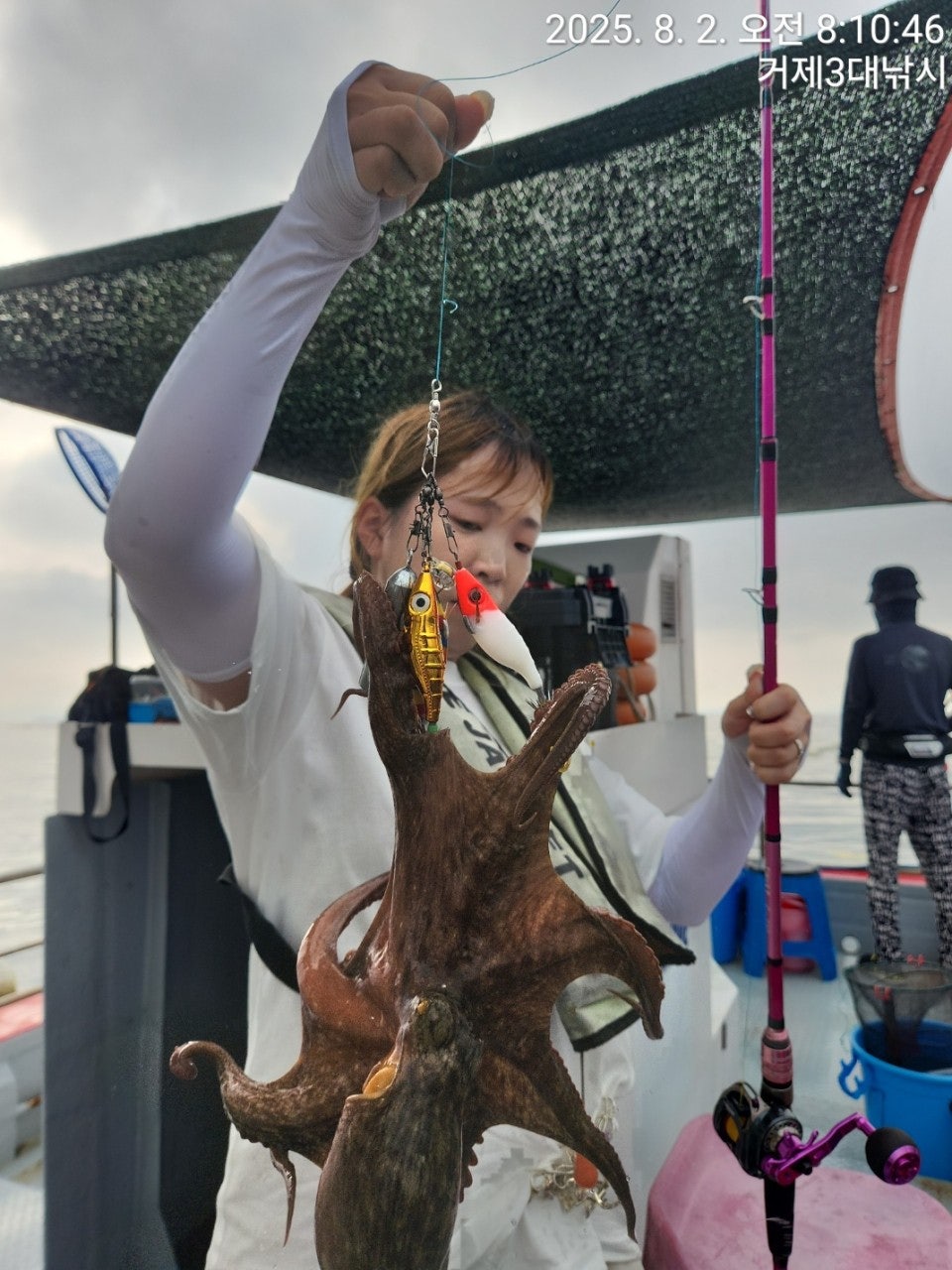 사용자가 올린 이미지