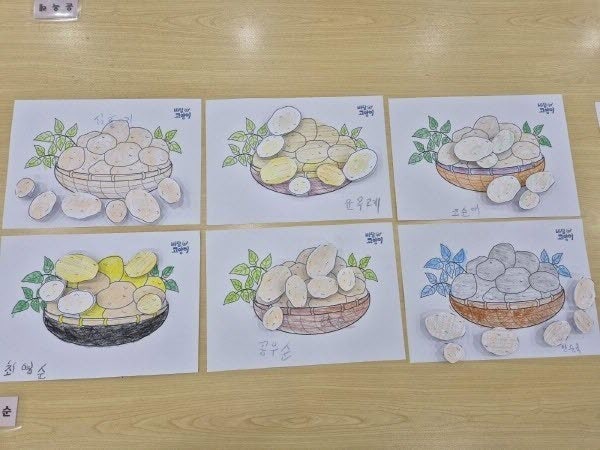 사용자가 올린 이미지
