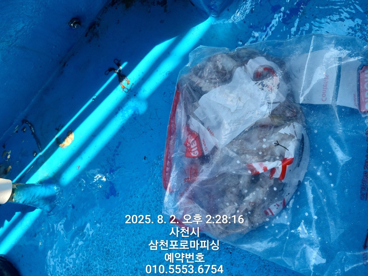 사용자가 올린 이미지