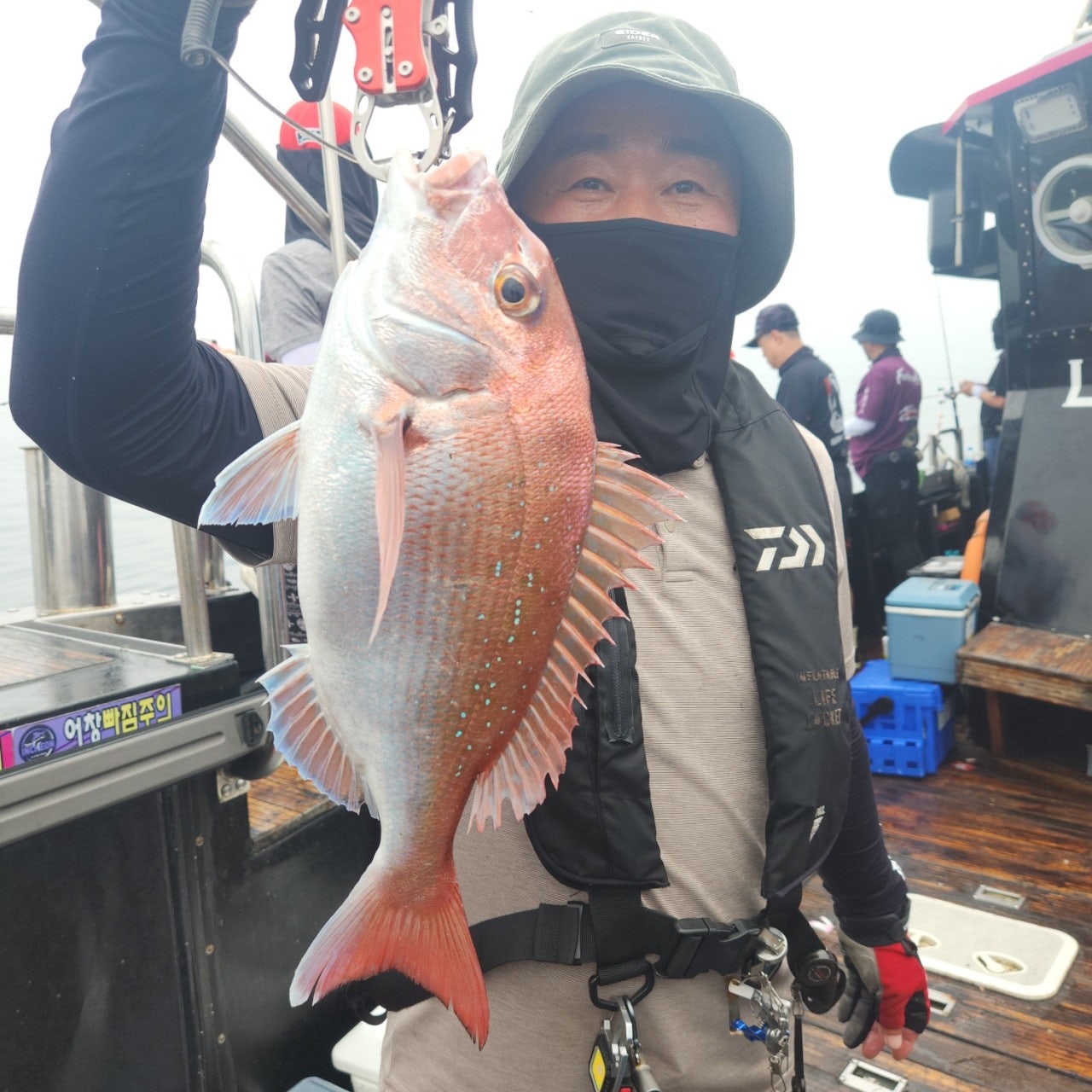 사용자가 올린 이미지