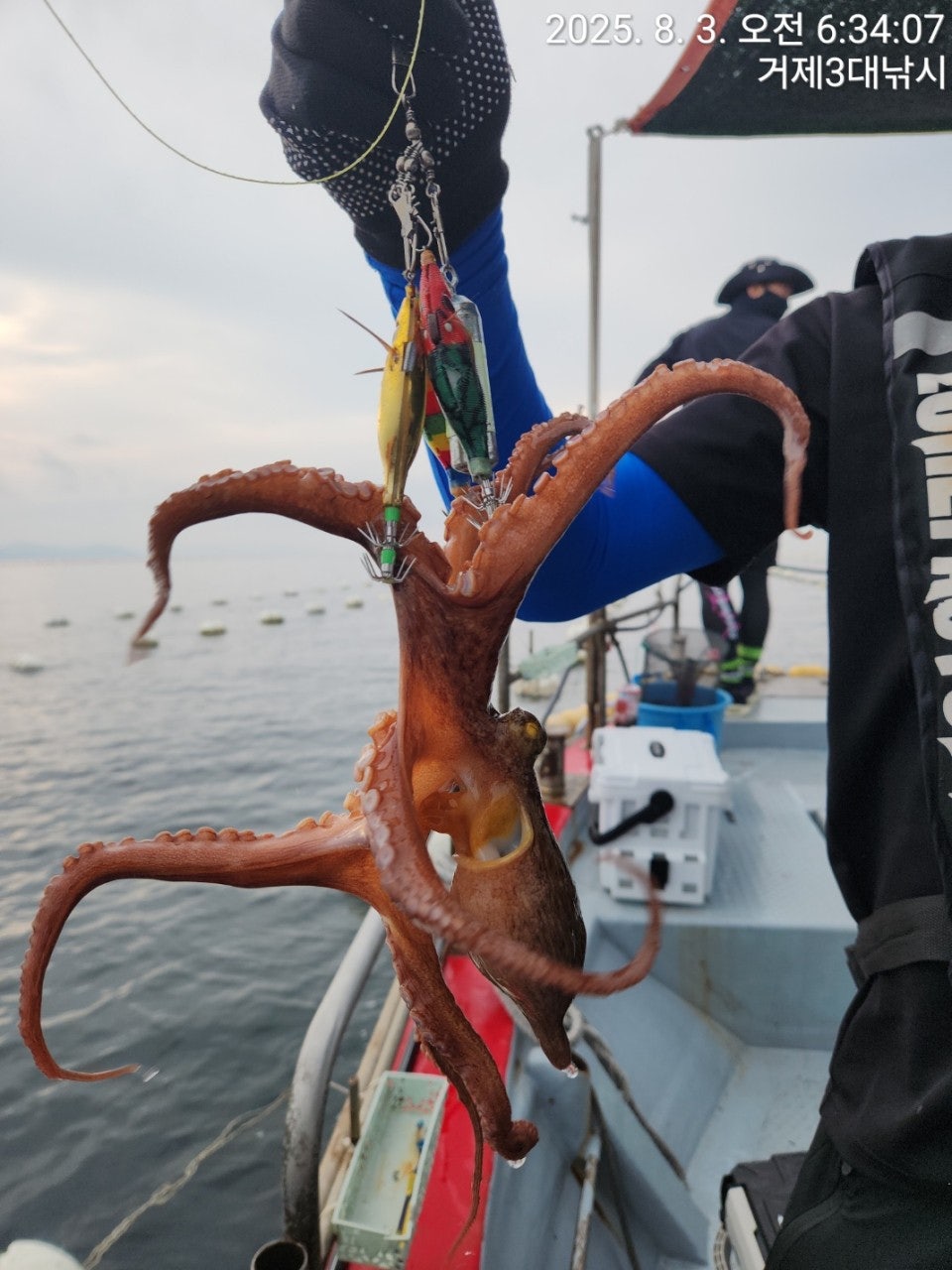 사용자가 올린 이미지