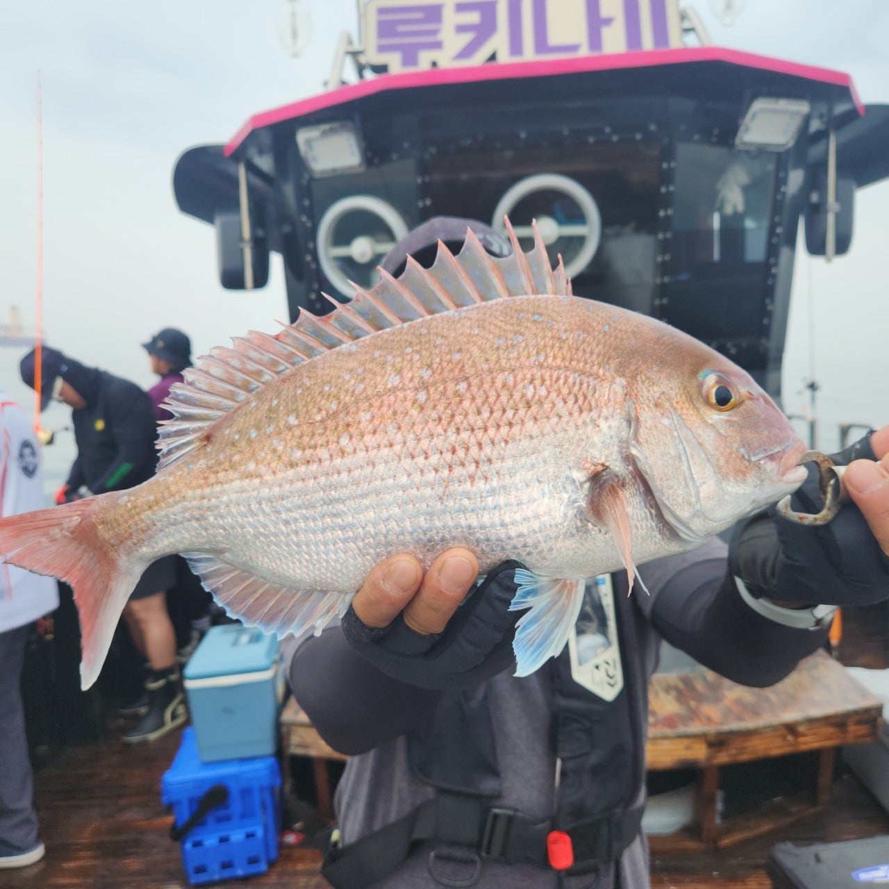 사용자가 올린 이미지