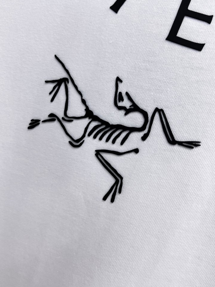 aa.jpg