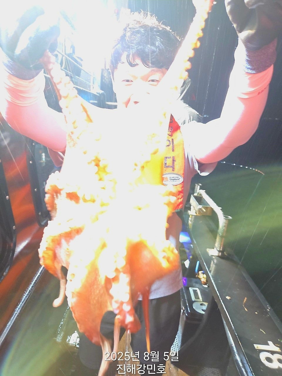 사용자가 올린 이미지