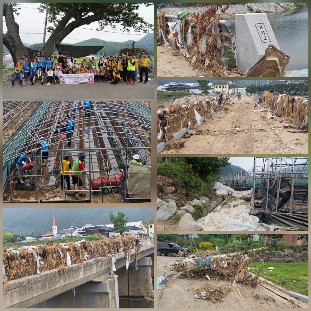 ����ڰ� �ø� �̹���