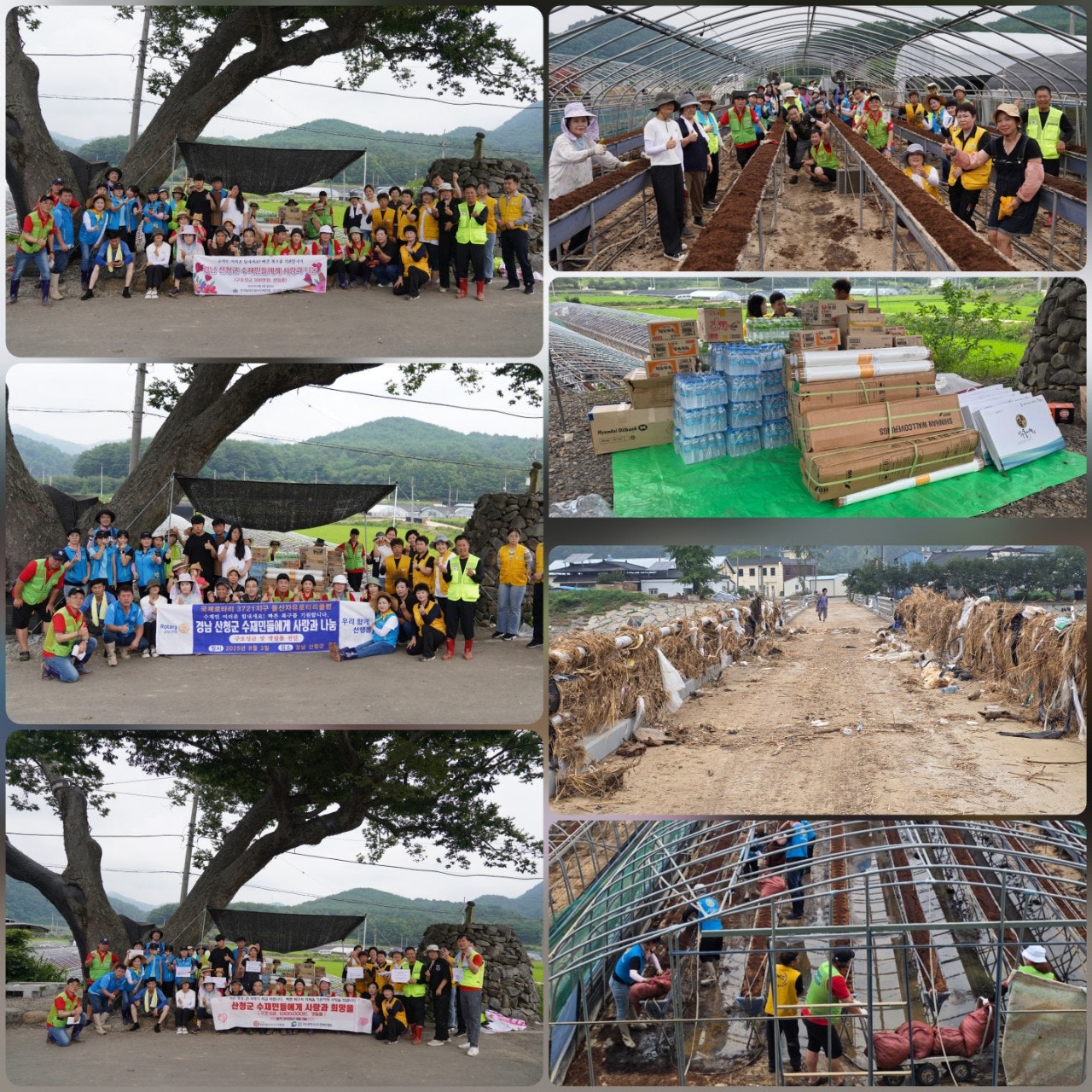 ����ڰ� �ø� �̹���