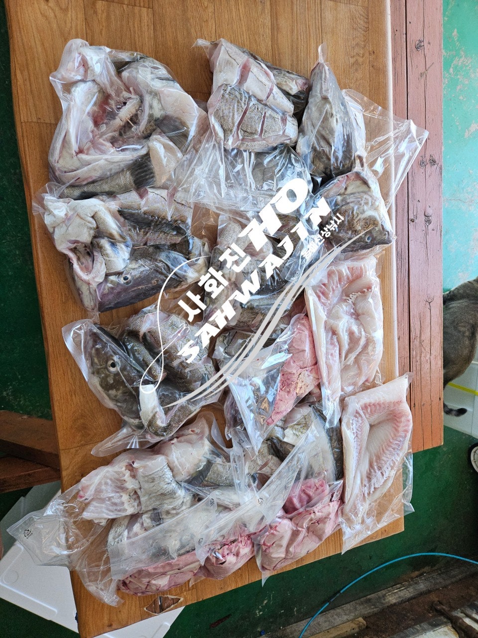사용자가 올린 이미지