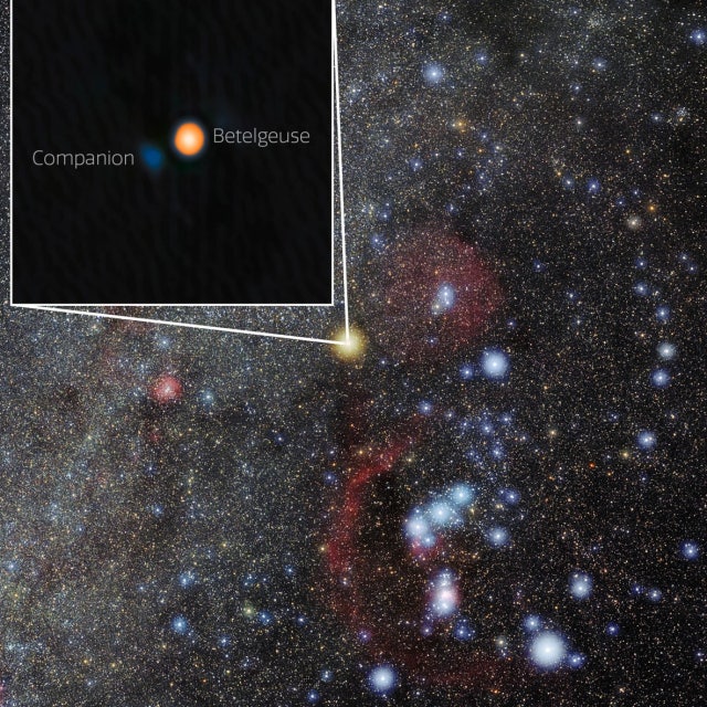 After Decades of Searching, Astronomers Finally Spot Betelgeuse’s Elusive Companion Star
