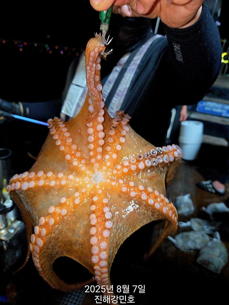 사용자가 올린 이미지