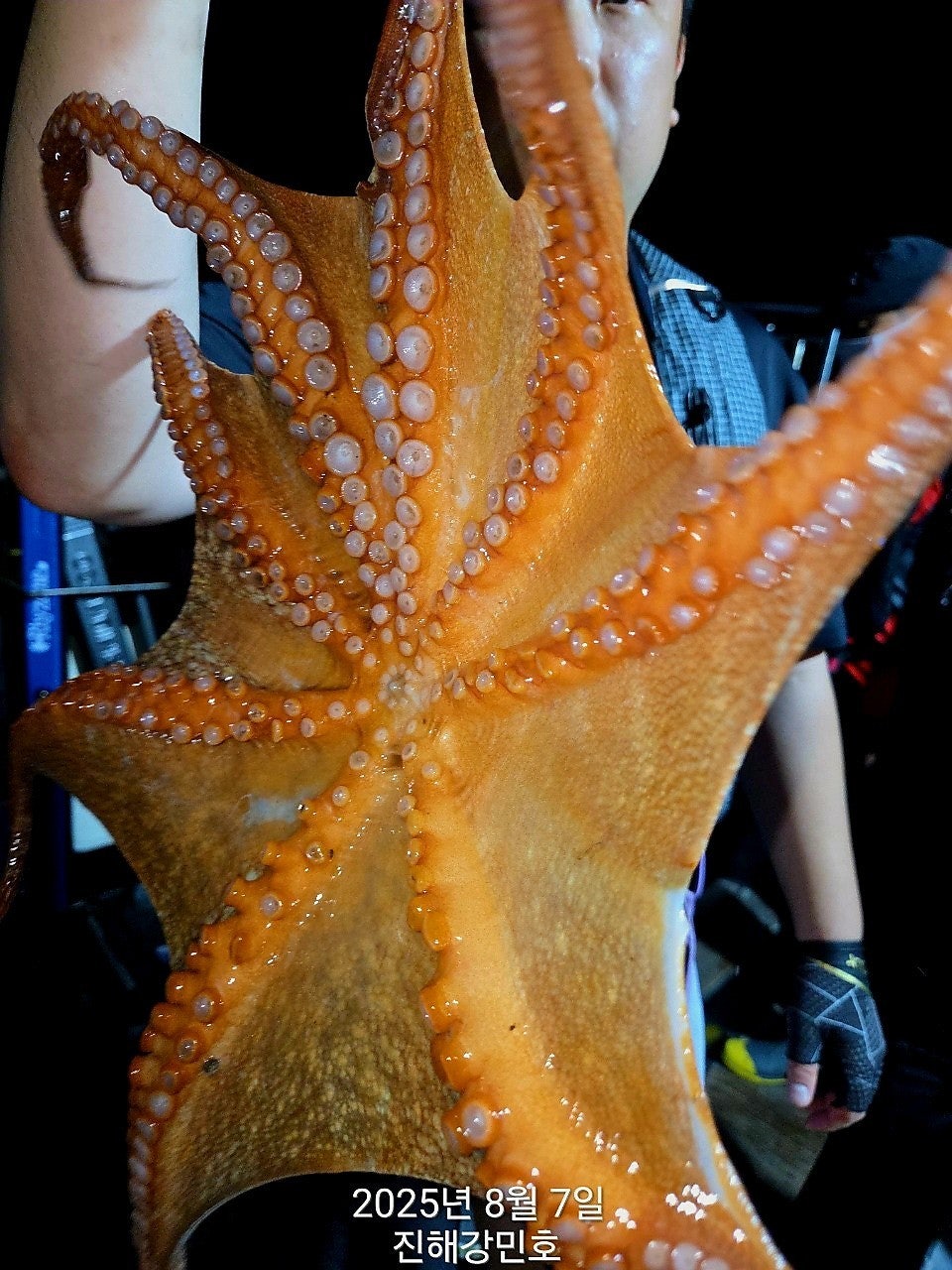 사용자가 올린 이미지