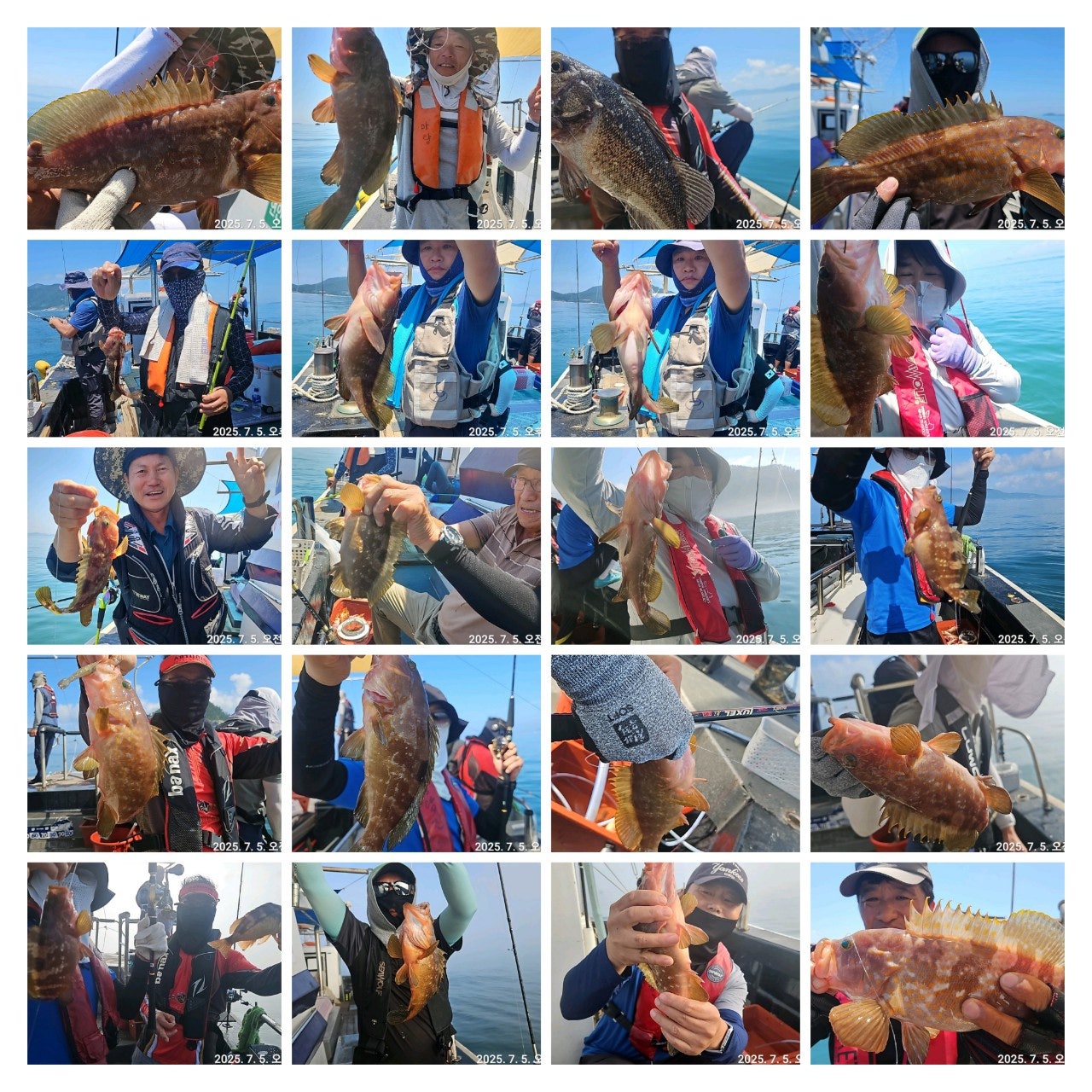 사용자가 올린 이미지