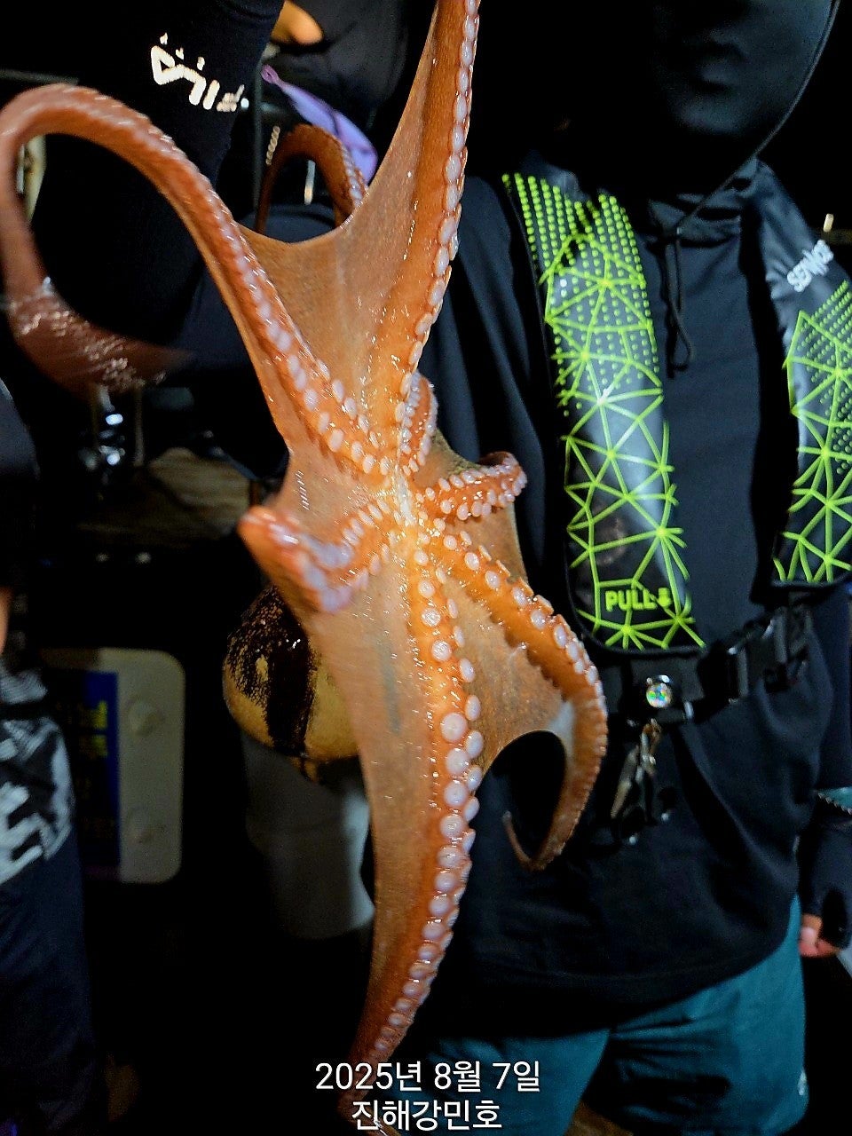 사용자가 올린 이미지