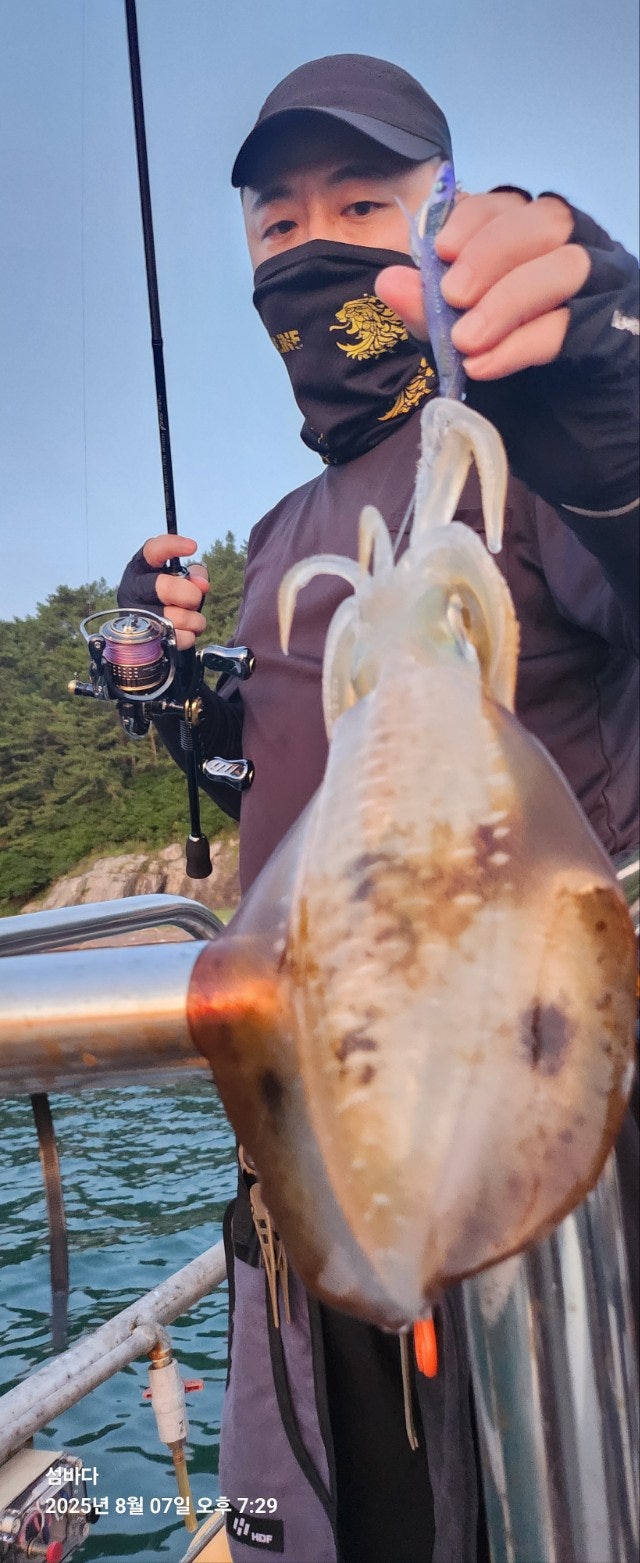 사용자가 올린 이미지