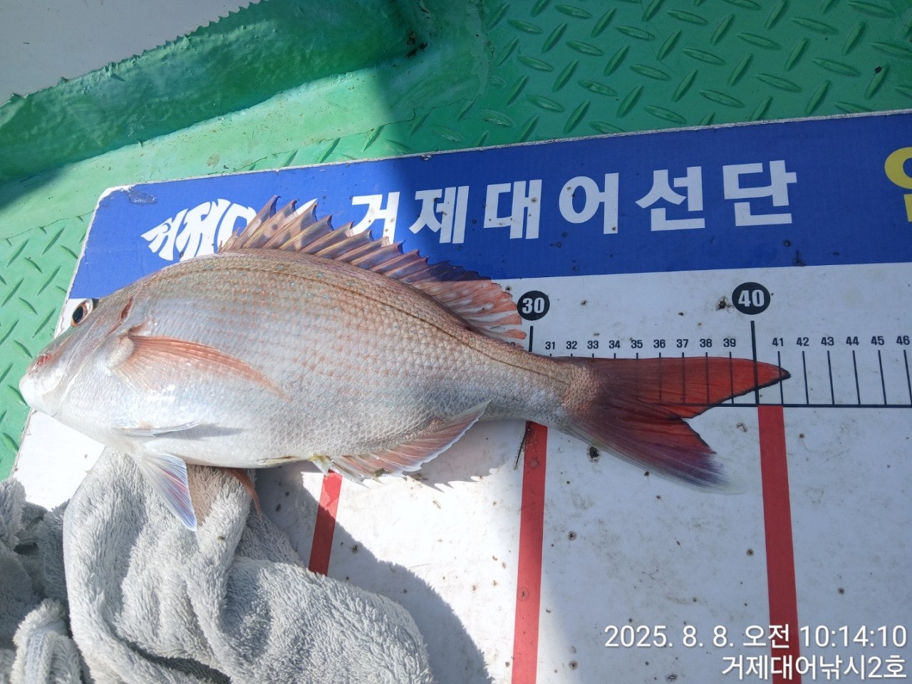 사용자가 올린 이미지