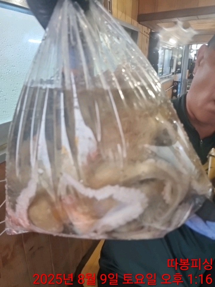 사용자가 올린 이미지