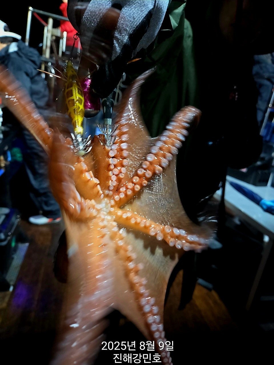 사용자가 올린 이미지