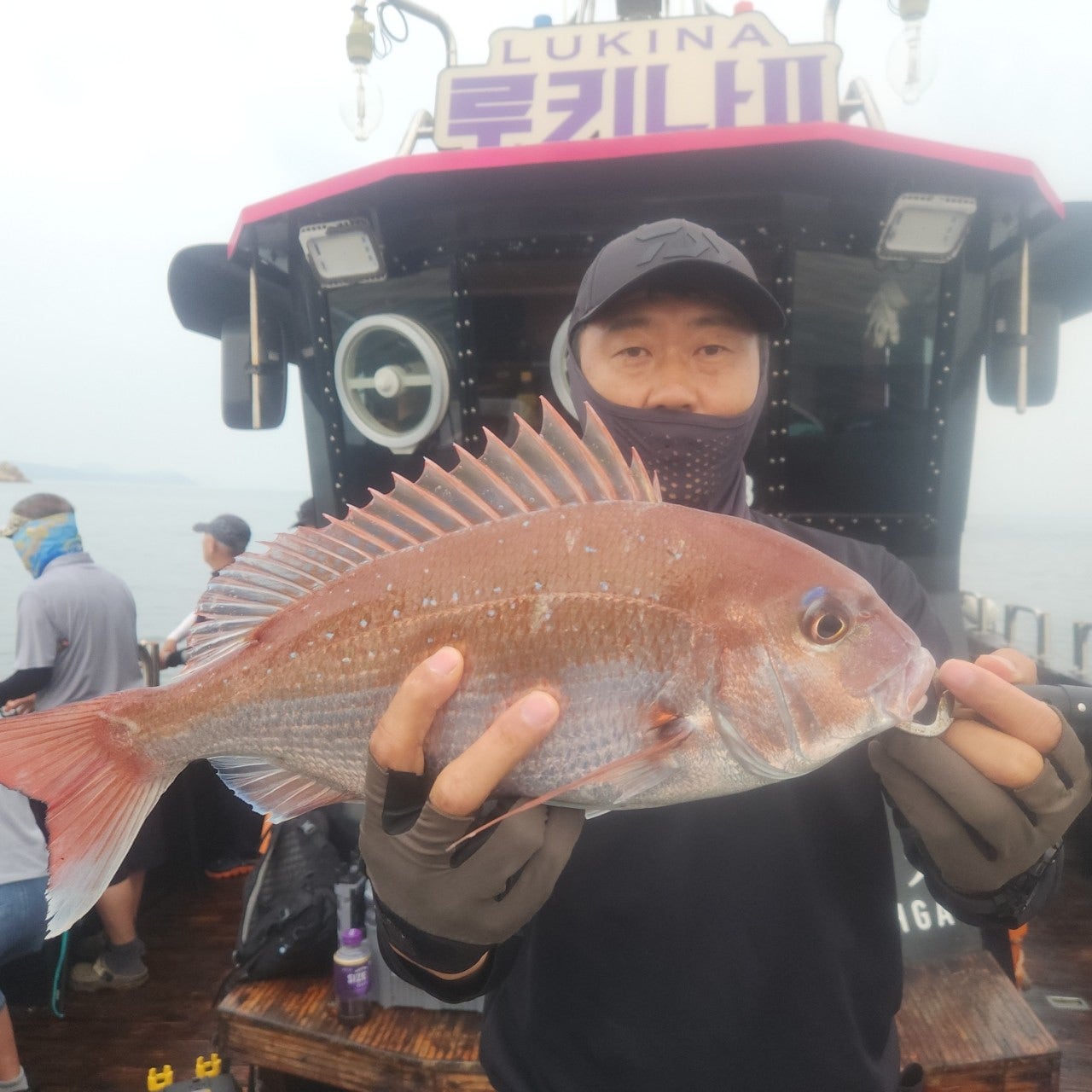 사용자가 올린 이미지